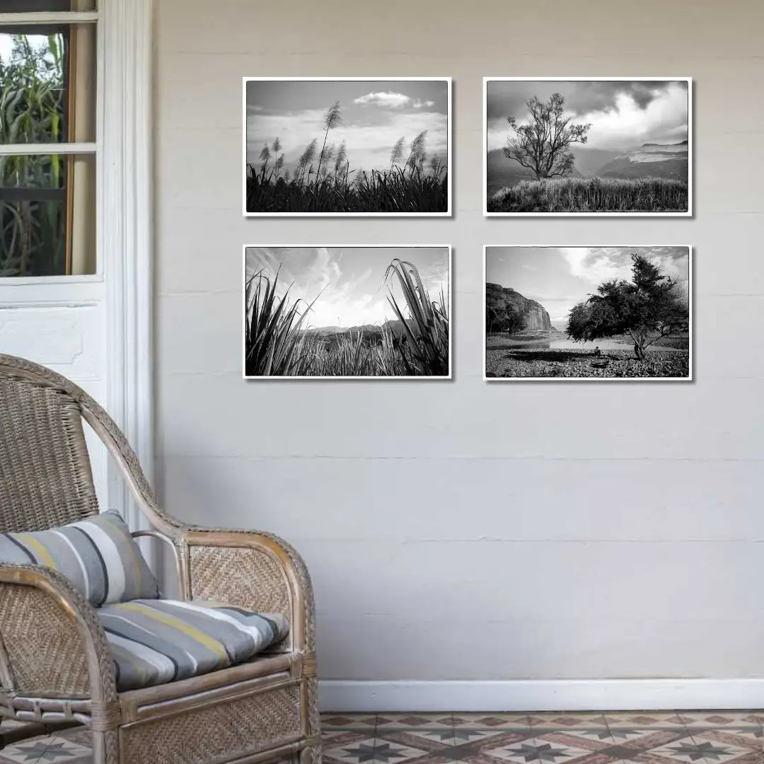 La photo. "Plein Est" – Image 2