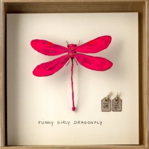 La boîte à insectes. "Funny Girly Dragonfly"