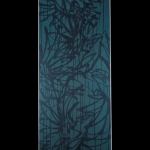 La toile. "Zoizos noirs #1"