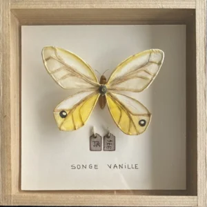 La boîte à insectes. "Songe Vanille"