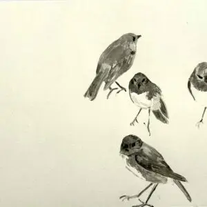L'aquarelle. "Toutouwai"