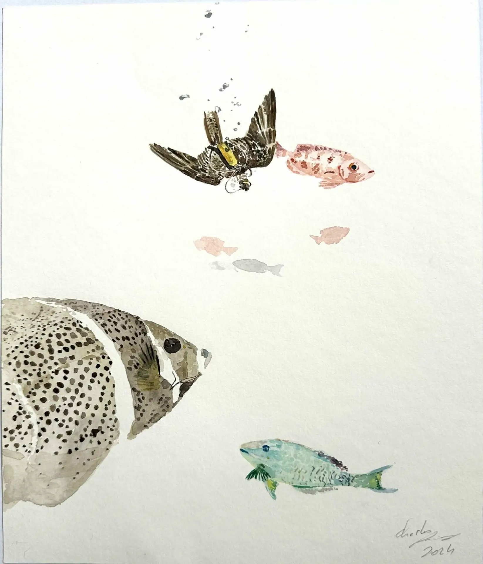L'aquarelle. "Papangue et poissons"
