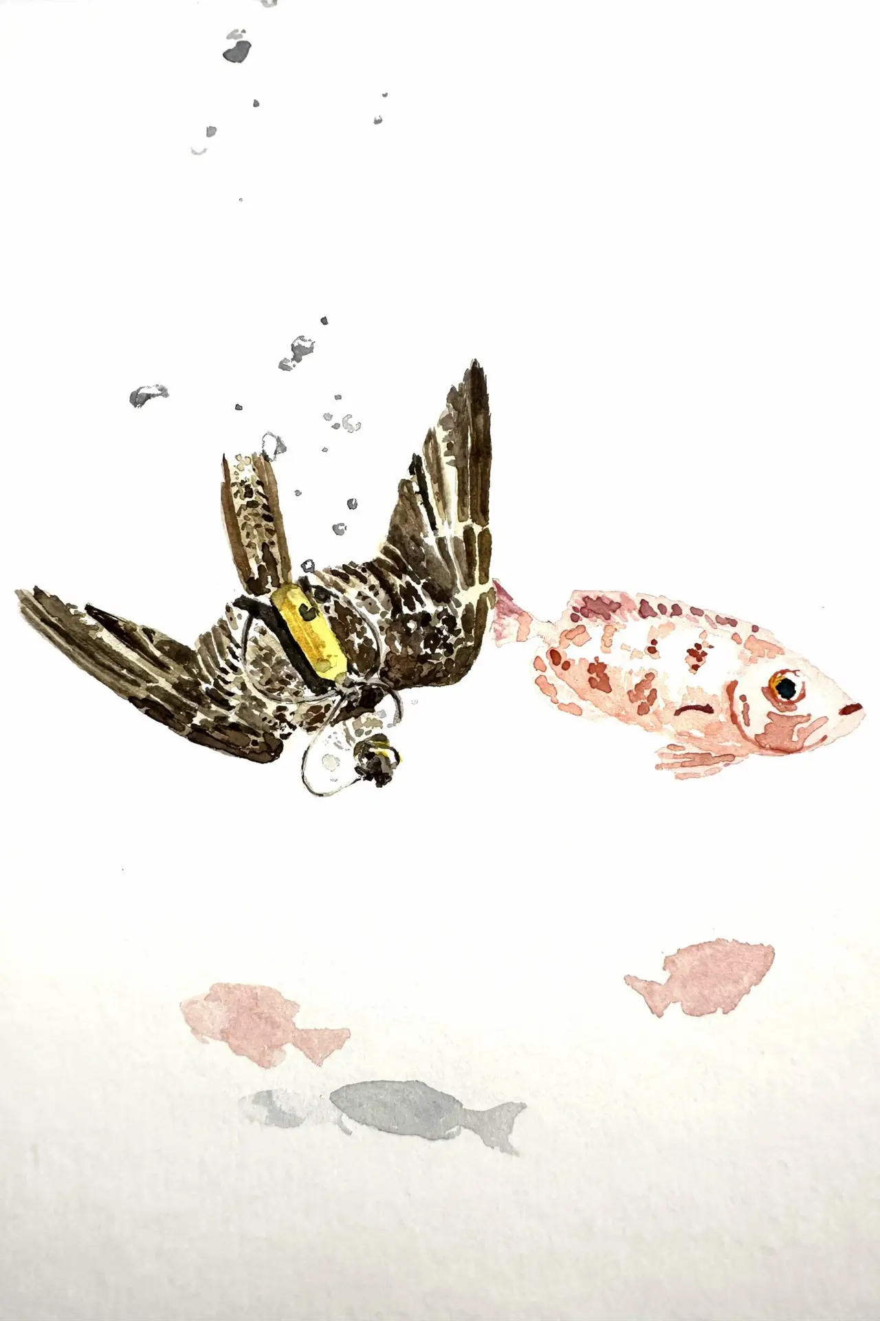 L'aquarelle. "Papangue et poissons" – Image 3