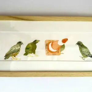L'aquarelle. "Kéas jouant avec un plot"