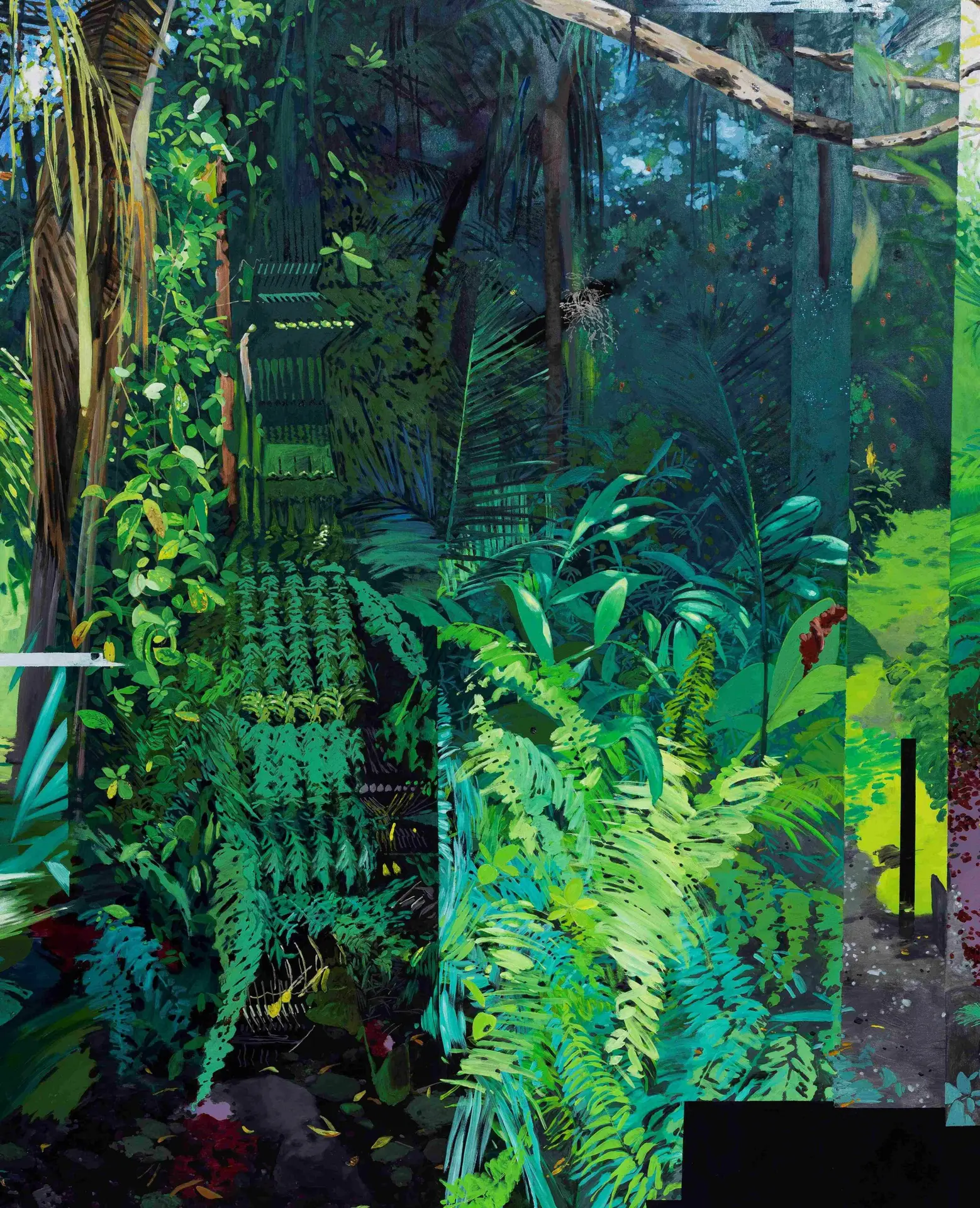 La toile. "Maladie tropicale" – Image 6