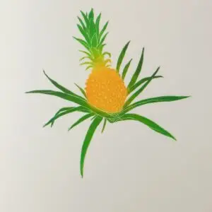 La linogravure. L'estampe "Ananas la kour"