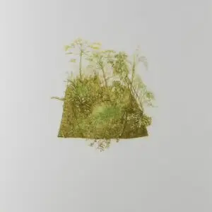 La gravure à l'eau forte. L'estampe "Jardin Ressource"