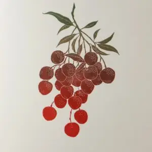 La linogravure. L'estampe "Les letchis"