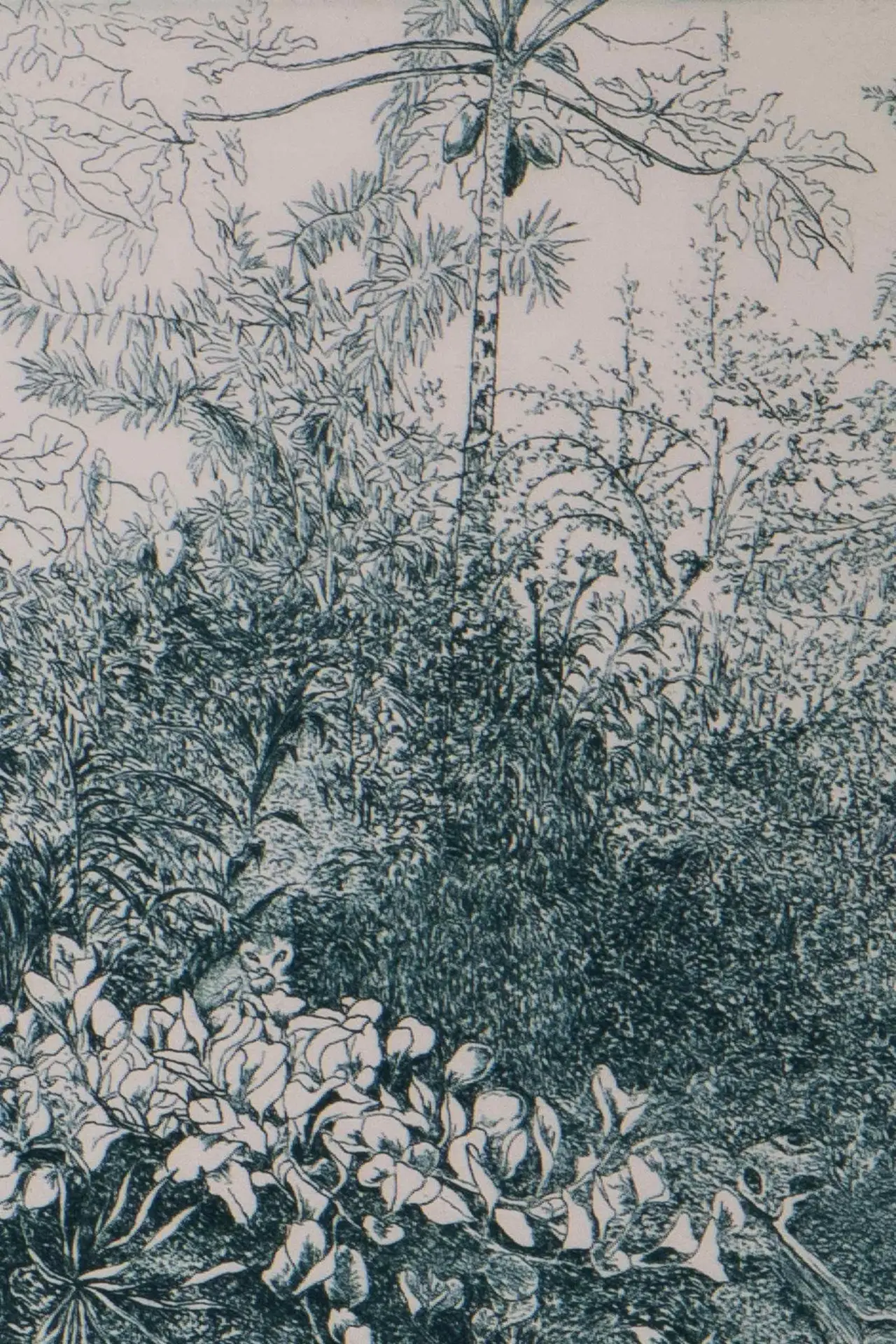 La gravure à l'eau forte. L'estampe "L'heure rose" – Image 3