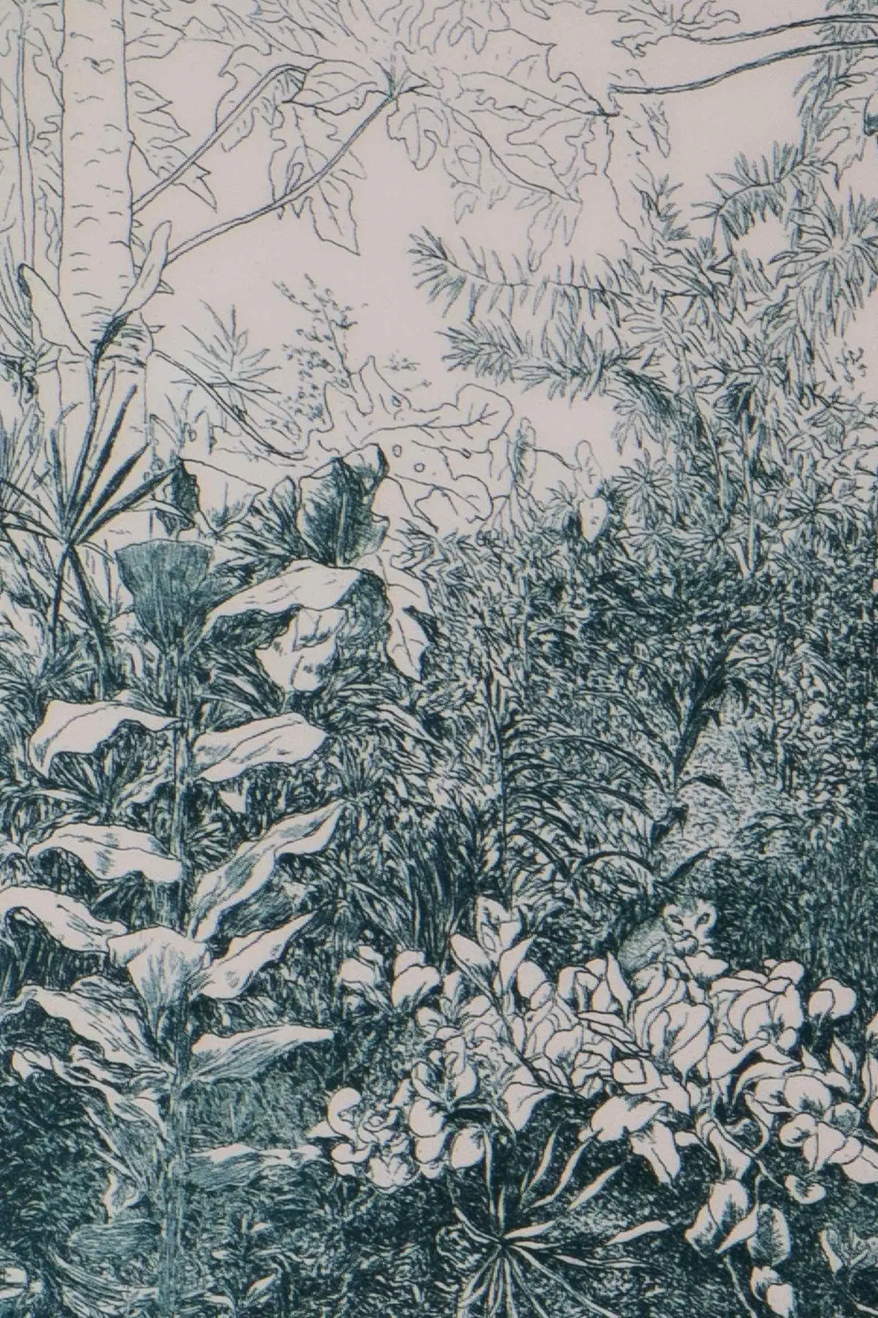 La gravure à l'eau forte. L'estampe "L'heure rose" – Image 2